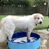 Entry image for Charlee