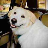 Entry image for Dixie Love Anderson 