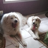 Entry image for Juliette and BB