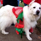 Entry image for Sadie Jo