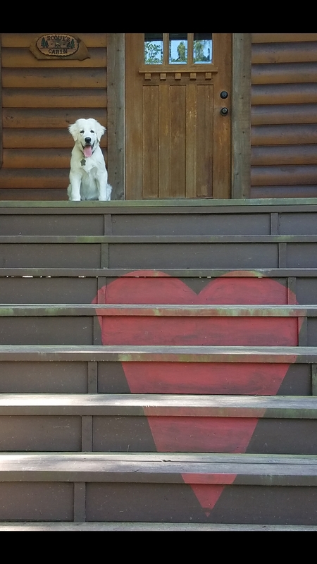 Entry image for Garland . Clicking this image will show a larger photo