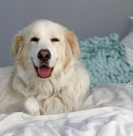 Entry image for Harry. Clicking this image will show a larger photo