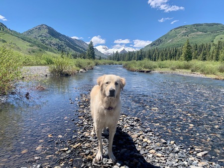 Entry image for Emma. Clicking this image will show a larger photo