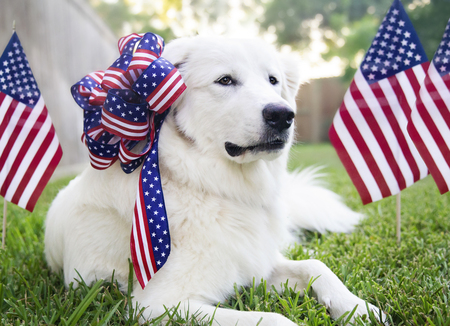 Entry image for Macie . Clicking this image will show a larger photo