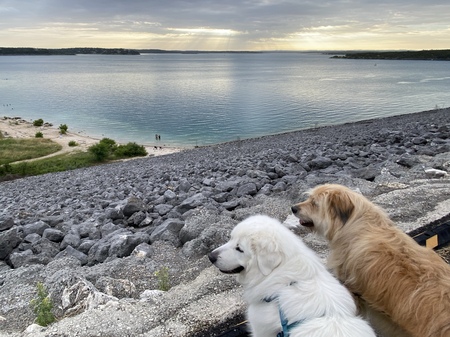 Entry image for Rocco + Tiernan. Clicking this image will show a larger photo