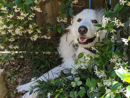 Entry image for Baker. Clicking this image will show a larger photo