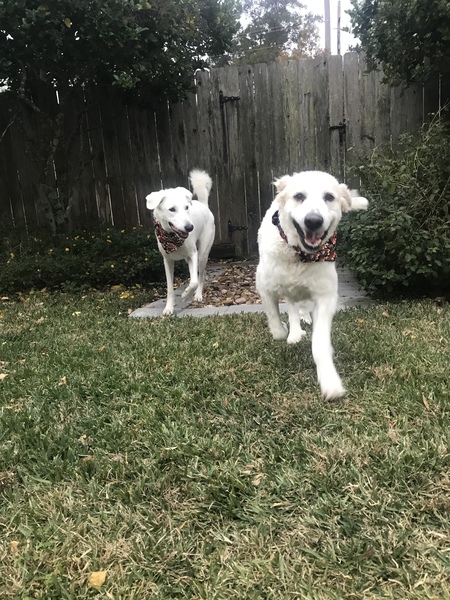 Entry image for Mama. Clicking this image will show a larger photo