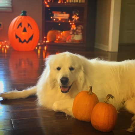 Entry image for Douglas Davis . Clicking this image will show a larger photo