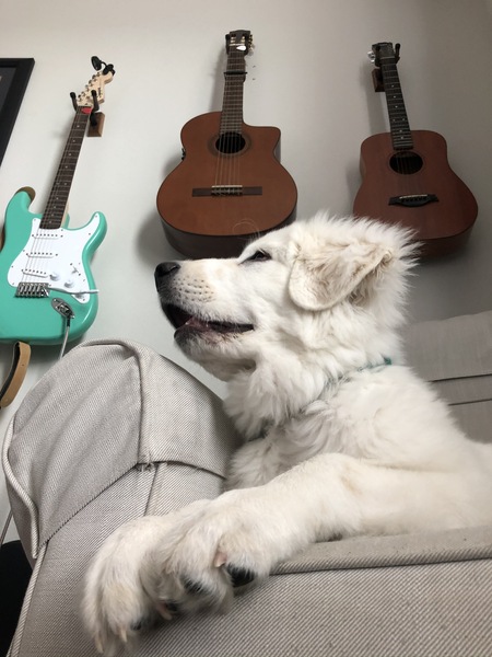 Entry image for Legend. Clicking this image will show a larger photo