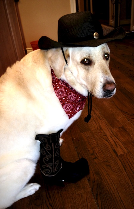 Entry image for Macky. Clicking this image will show a larger photo