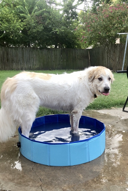 Entry image for Charlee. Clicking this image will show a larger photo