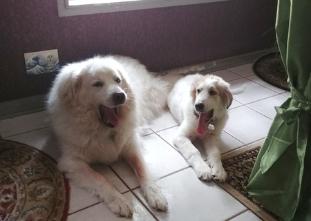 Entry image for Juliette and BB. Clicking this image will show a larger photo