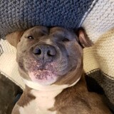 Entry image for Georgia