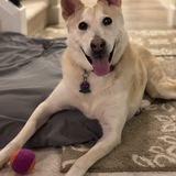 Entry image for Sandy 