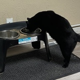 Entry image for Dexter