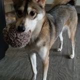 Entry image for Luka