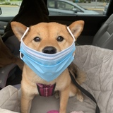 Entry image for Rubie Red