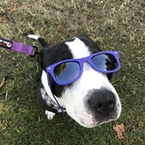 Entry image for Molly