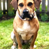 Entry image for Chloe