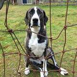 Entry image for Missoula