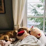 Entry image for Autumn