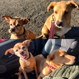 Entry image for Rue and Autumn