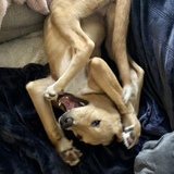 Entry image for Autumn 