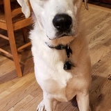 Entry image for Horton