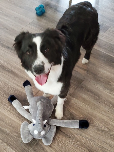 Entry image for Yonder. Clicking this image will show a larger photo