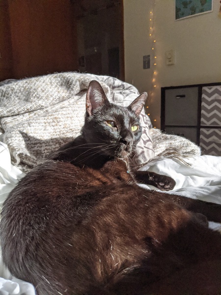 Entry image for Riku. Clicking this image will show a larger photo