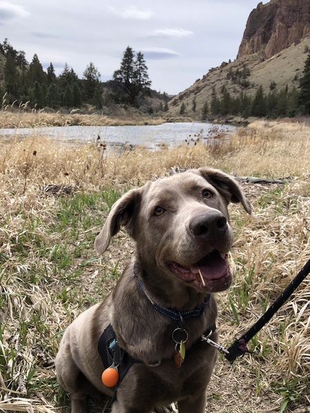 Entry image for Aspen. Clicking this image will show a larger photo