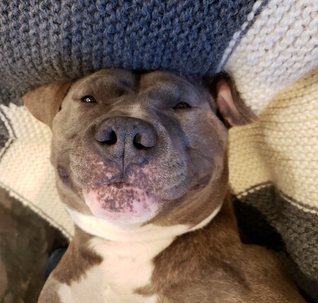 Entry image for Georgia. Clicking this image will show a larger photo