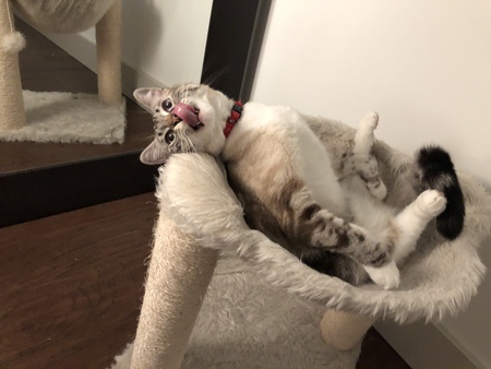 Entry image for Chirp. Clicking this image will show a larger photo