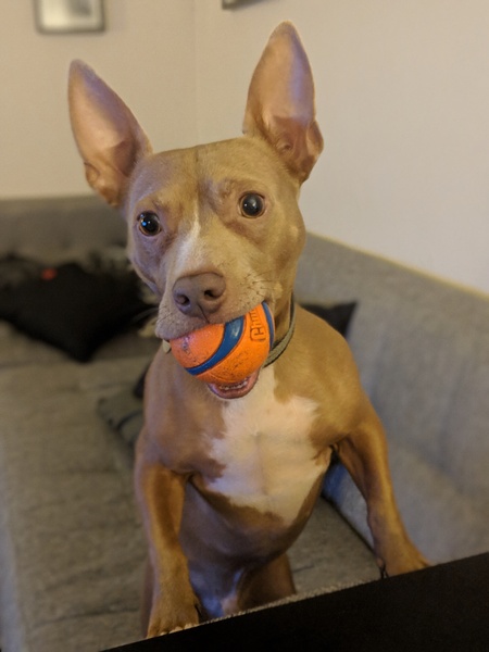 Entry image for Max. Clicking this image will show a larger photo