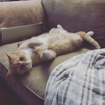 Entry image for Mya. Clicking this image will show a larger photo