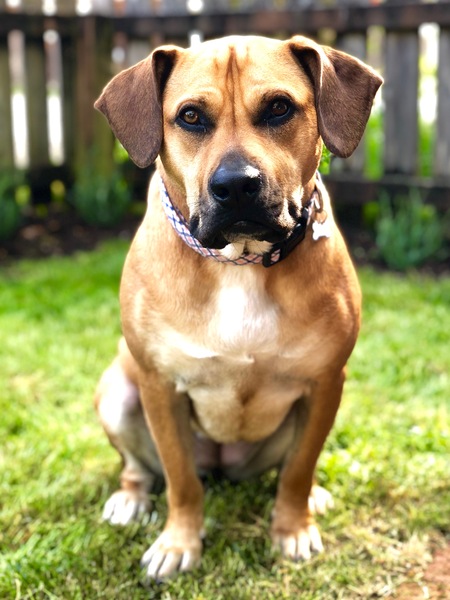 Entry image for Chloe. Clicking this image will show a larger photo