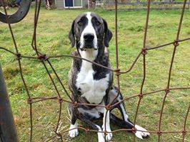 Entry image for Missoula. Clicking this image will show a larger photo