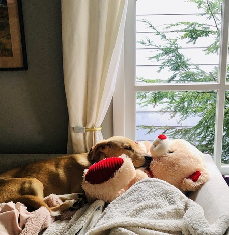 Entry image for Autumn. Clicking this image will show a larger photo