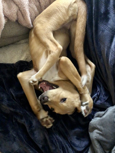 Entry image for Autumn . Clicking this image will show a larger photo