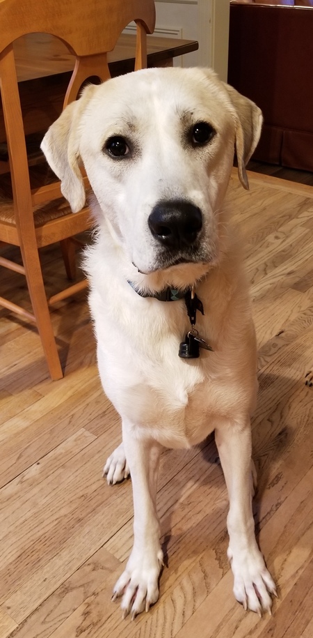 Entry image for Horton. Clicking this image will show a larger photo