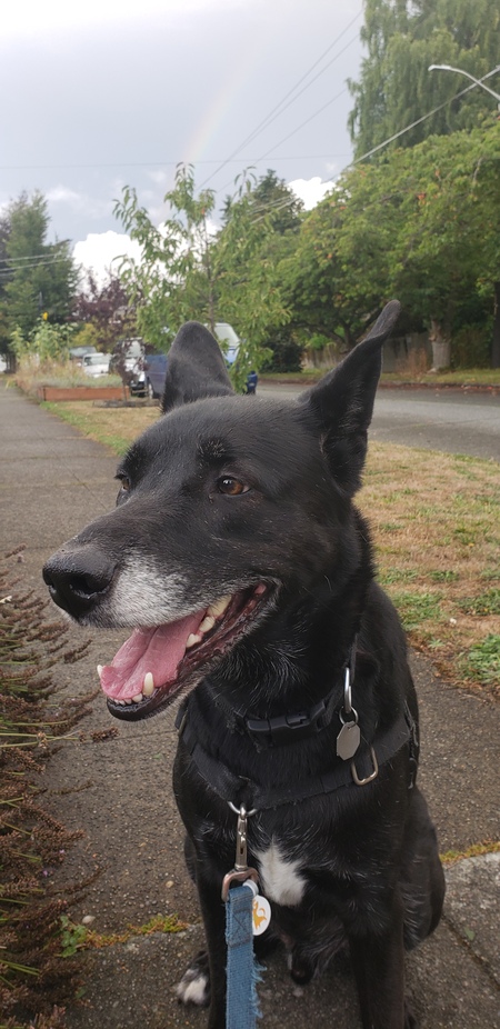 Entry image for Kam. Clicking this image will show a larger photo