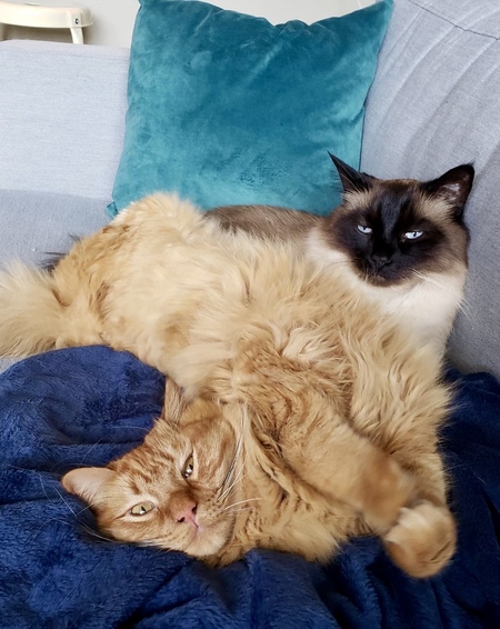 Entry image for Frank and Zeus. Clicking this image will show a larger photo