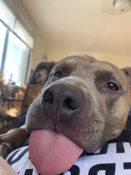 Entry image for Bea. Clicking this image will show a larger photo