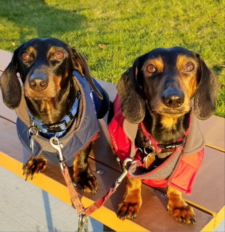 Baxter and Barkley 