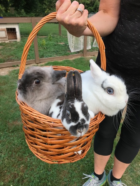 Chunkers, NuNu, and Pudding