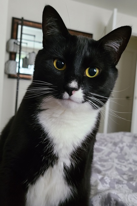 Tux