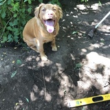 Entry image for Remington