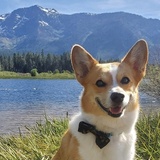 Entry image for Wally