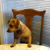 Entry image for Mr. Wiggles