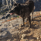 Entry image for Mitzi